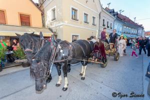 Mlada portugalka 2019 (9)